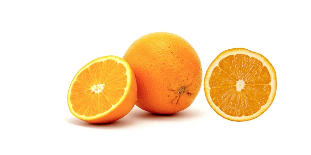 Can Bearded Dragons Eat Oranges peels